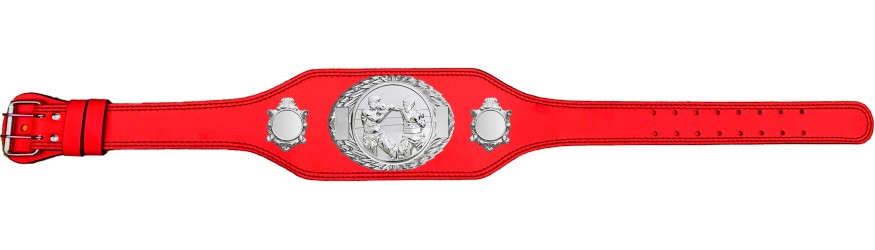 BOXING CHAMPIONSHIP BELT-BUD295/S/BOXS-4 COLOURS